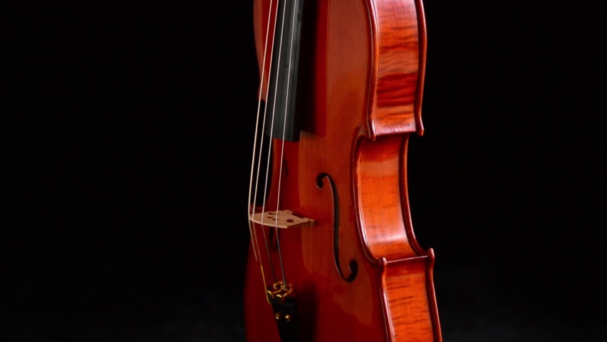Detail of body and bridge with strings of violin or viola instrument gyrating | Shutterstock HD Video #1073171690