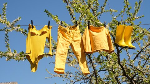 Children's clothing hangs on a clothesline and dries after washing. Bright yellow clothes against a blue sky and a plum tree in bloom. Rubber wet boots dry in the sun. Clothes flutter in the wind.
