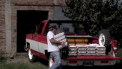 Entre Rios, Argentina - March 2020: Poultry Farm Worker loading Eggs in an Old Pickup Truck.