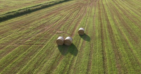Aerial View of Bales of Hay in Flat Agricultural Farming Field in Countryside of Italy, Drone Shot