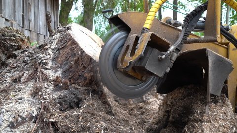 A close view of the round milling head of a stump cutter or grinder that performs strain grinding. Side view of a stump cutter and its cutter head that grinds a freshly sawn, large stump.
