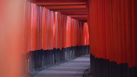 Fushimi Inari Shrine, Torii gates. Kyoto, Japan. Tourism and travel. High-quality 4k footage