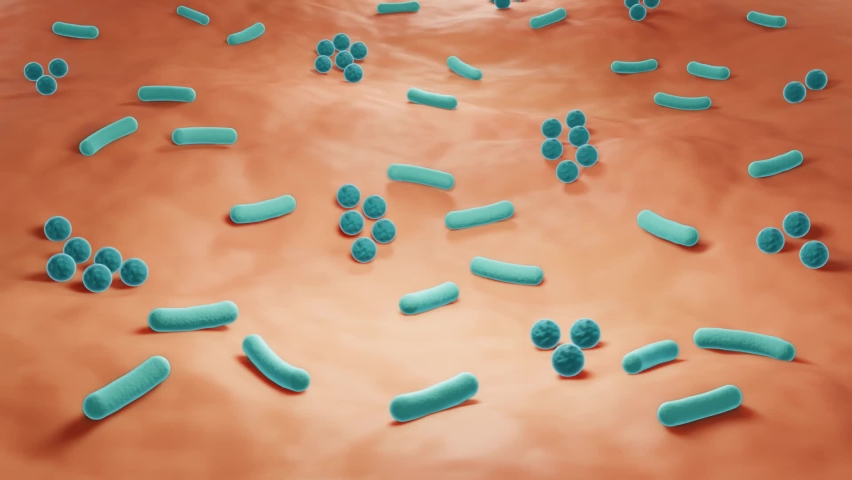 Skin microbiome, Bacteria on the skin close-up | Shutterstock HD Video #1073217938