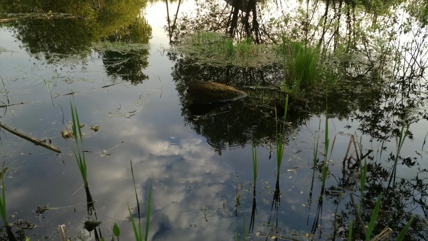 Spring fishing on the pond, nature.