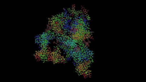 BG505 SOSIP gp140 HIV-1 Env trimer in Complex with the Broadly Neutralizing Fab PGT122. Atom-Structure.

3D Animation rotating 360° with Alphachannel. Seamless Loop.

PDB Entry: 4NCO