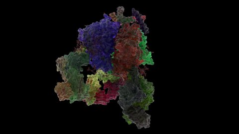 BG505 SOSIP gp140 HIV-1 Env trimer in Complex with the Broadly Neutralizing Fab PGT122. Shell with Ribbons and Atoms inside.

3D Animation rotating 360° with Alpha. Seamless Loop.

PDB Entry: 4NCO
