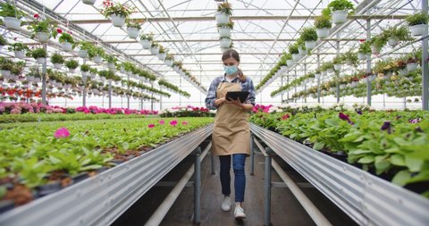 Caucasian young pretty woman manager in mask working in own flower shop walking between plants in greenhouse and tapping on tablet device. Garden center, floral store, quarantine, business concept