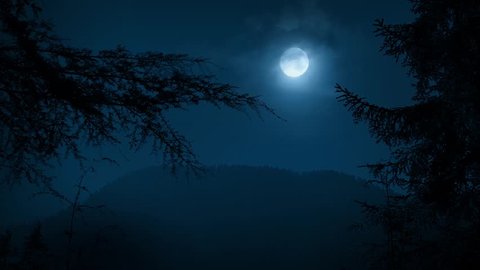 Trees Framing Night Forest With Moon