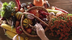 Organic colored vegetables. Woman hand puts freshly harvested vegetables in a wicker basket: corn, pepper, pumpkin, eggplants, tomato, onion, garlic. Farming or gardening concept. 4k video footage - Powered by Shutterstock - Get 15% off with code: PIKWIZARD15