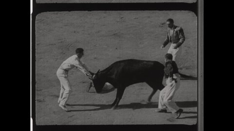 1950 Barrancos, Portugal. Portuguese Bullfighting where Eight Forcados challenge a Bull. The Front Man Provokes the Bull into Performing a Pega De Cara. 4K Overscan of Vintage Archival 16mm Film Print
