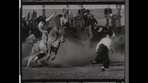 1950s Colorado Springs, CO. Cowboy Rides a Bucking Bull at Fairgrounds during Rodeo Competition. The Cowboy Falls off of Bull. Rodeo Clown Chases Bull. 4K Overscan of Vintage Archival 16mm Film Print