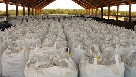 Harvested cannabis, marijuana in bags ready to be shipped. Farming 