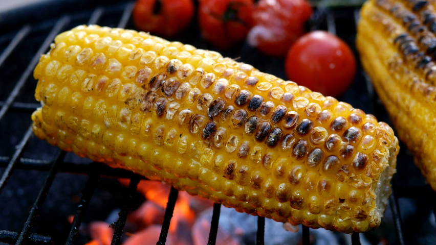 Burnt golden color corn cob with cherry tomato is fried on grill or barbecue grate with smoke and flame. Picnic or party in nature. Summer weekend with healthy vegetarian food concept. Royalty-Free Stock Footage #1073279927