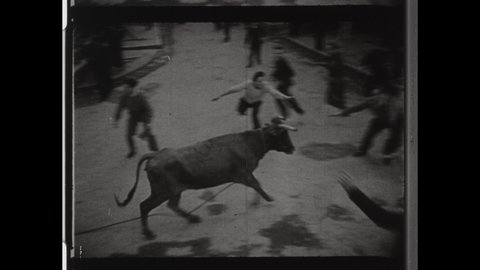 1950s Azores, Portugal. Man is Gored by Bull in the Streets of Terceira. Bullfight by Rope, or Tourada à Corda, is an old tradition of Bullfighting. 4K Overscan of Vintage Archival 16mm Film Print