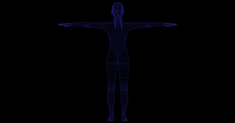 Woman body in wireframe representation gyrating on black background