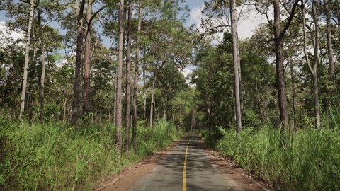  footage of road that cuts through a rainforest in a tropical country
