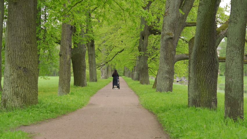 Mother pushing carrycot stroller with sleeping baby on a walk in spring park, Catherine Park in the town of Tsarskoye Selo (Pushkin), St. Petersburg, Russia. High quality 4k footage