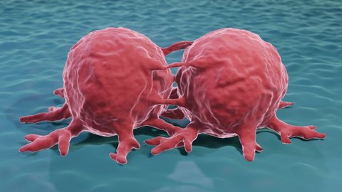 Cancer cells division 3d animation