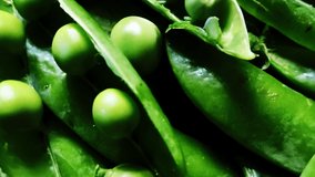 Open fresh peas close up. High quality 4k footage