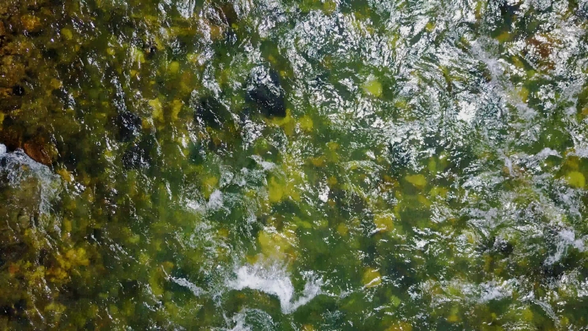 Serene crystal clear fresh waters of the flowing Gallatin river in Montana on a adventure
(moving shot)