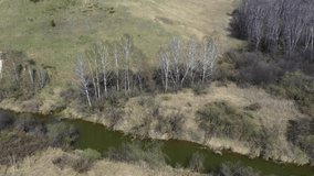 Chalk cliffs on the banks of the Shipunikha river. Aerial video from sideways moving drone. Novosibirsk region, Siberia, Russia.
