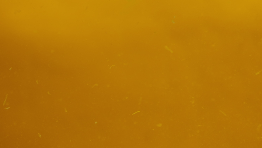 Close-up of falling sliced limes, oranges and lemons into the water on orange background, making a cocktail of citrus fruits, drinking cold lemonade, shooting of carbonated water with sliced fruits.  Royalty-Free Stock Footage #1073399885