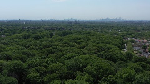 An aerial view above green tree tops in a park on a sunny day. The drone camera, focused on the New York City skyline in the distance on the horizon, truck left above the trees.