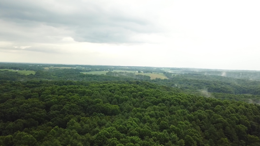Reverse shot of the trees on the mountain and the clouds