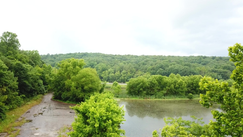 A rising view of the swamp