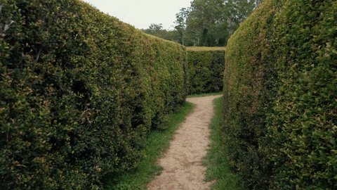 Walking And Finding The Exit Inside The Garden Maze In Bago Maze and Winery In Wauchope, NSW, Australia. - POV