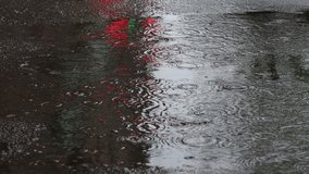 Raindrops, wet asphalt. Reflection neon signs in water. Close up - Powered by Shutterstock - Get 15% off with code: PIKWIZARD15