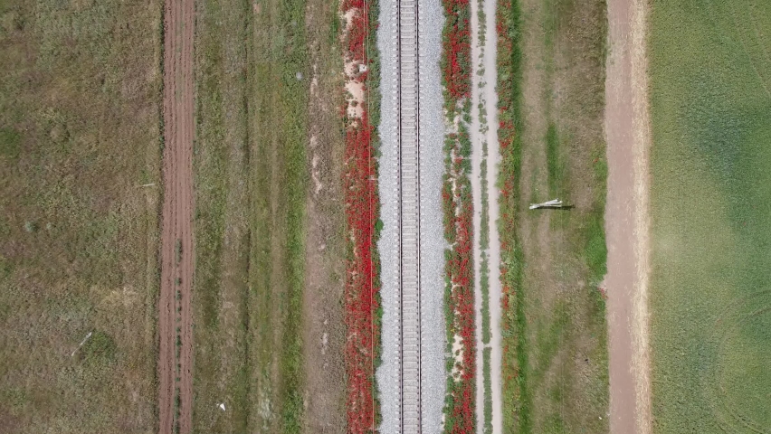 Drone footage of railroad with red flowers from top view