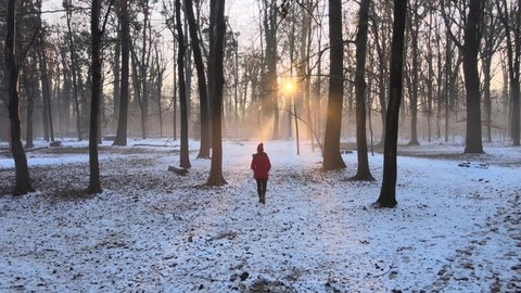 Naked woman in forest Stock Video Footage - 4K and HD Video Clips