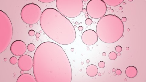 Pink different sized transparent bubbles move slowly and spontaneously in clear fluid against pale pink background   Background for skincare cosmetics advertisement shot