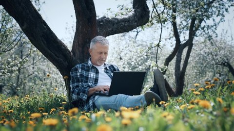 An elderly white-haired man is working on a laptop, sitting on the grass among the yellow flowers in the park under a tree on a sunny summer day.