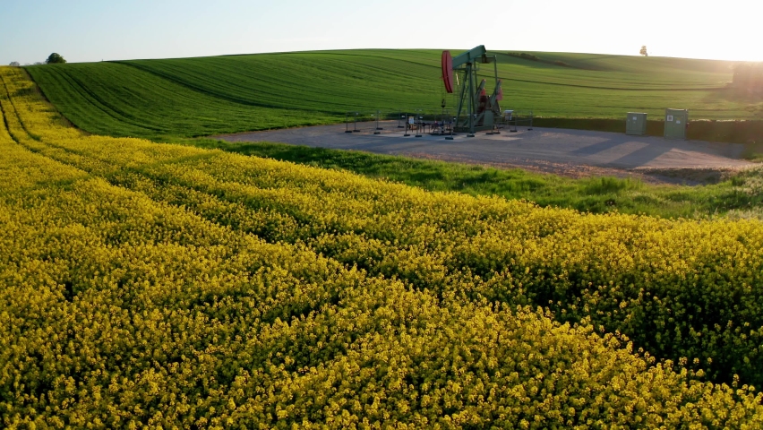 OIL PUMPIMG RIGS - aerial drone shot flying around an oil pumping rig in the sunny soft evening light - flowering yellow canola fields and green grass with wind generators in the background, backlight Royalty-Free Stock Footage #1073490266