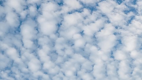 Time lapse of Altocumulus Floccus Clouds moving on blue sky
