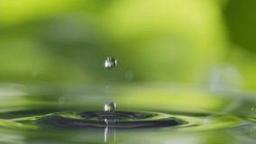 Water splash, slow motion. Water drop falls into water nature green background. Green leaves sway in the wind, ripples form on the water - Powered by Shutterstock - Get 15% off with code: PIKWIZARD15