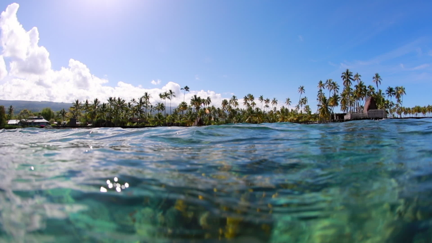 Close-Up Shot Of Sea Against Palm Trees On Sunny Day, Rocks Underwater - Big Island, Hawaii Royalty-Free Stock Footage #1073513618
