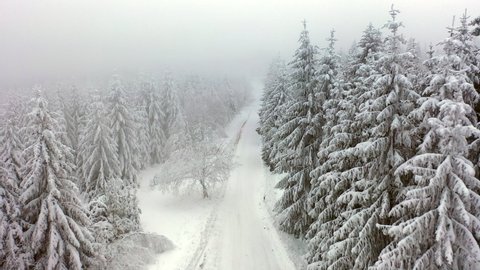 Aerial Moving Forward Through Snow Covered Pine Trees In A Foggy Landscape With Two Cross-Country Skiers Passing By - Bavaria, Germany