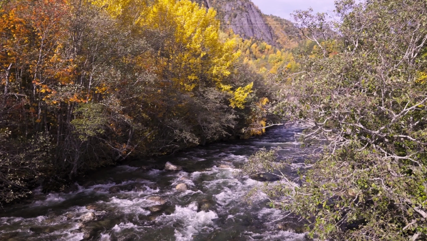 Beautiful aerial view of river surrounded by forest at day time