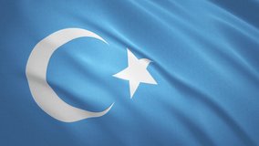 East Turkestan - Waving Flag Video Background