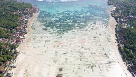 Aerial Drone High Altitude Reverse Shot of Seaweed Farms Plantation Covering Coastline Between Islands Filled With Farming Boats in Nusa Lembongan Ceningan Bali Indonesia