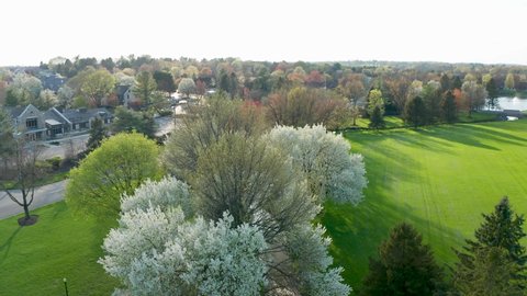Aerial of nature near city outskirts. Business park near green space in USA. Suburban scene with blooming spring trees.