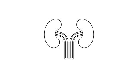 Black line Human kidneys icon isolated on white background. 4K Video motion graphic animation.