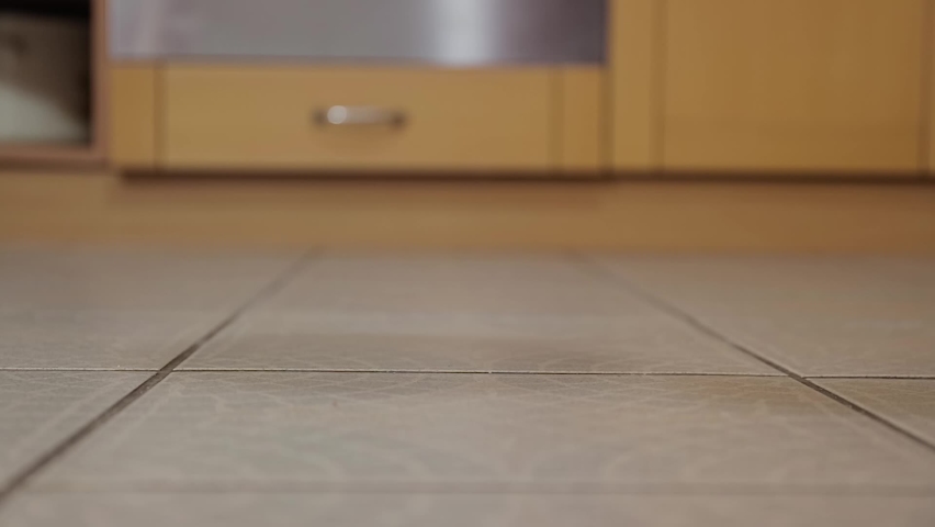 Plate of spaghetti dropped on the kitchen floor in slow motion from 120fps. Plate and food surviving the fall Royalty-Free Stock Footage #1073577266