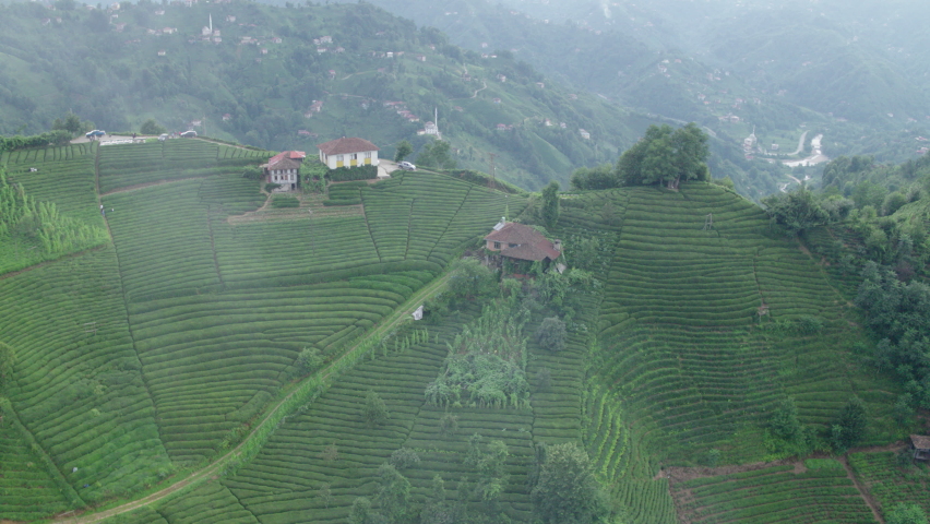 Gorgeous tea plantations on steep slopes.