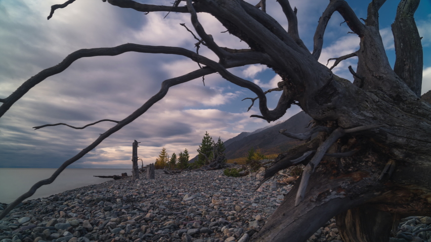 Time lapse of cloud on lake coast and mountain peak. Pebble beach with rock. Crooked dead dry tree