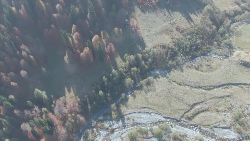 beautiful mountains in the forest with a bird
