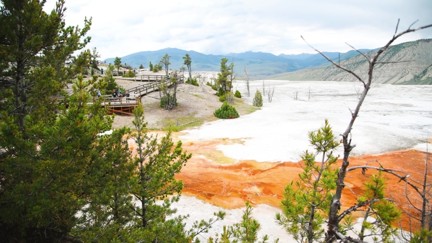 Mammoth Hot Springs in Yellowstone, Wyoming